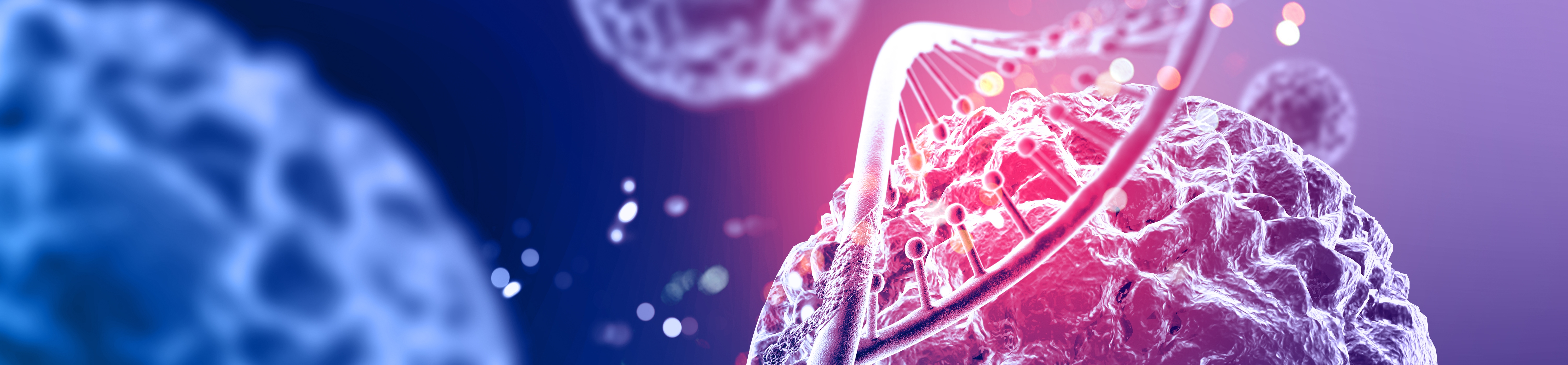 Enzyme Production Process