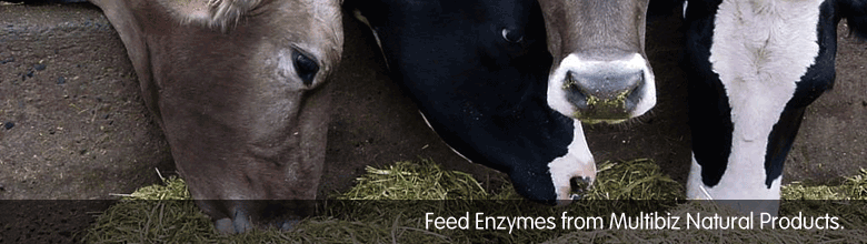 Feed Enzymes from Multibiz Natural Products