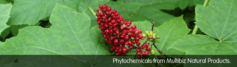 Phytochemicals from Multibiz Natural Products